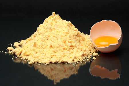 Pasteurized Fermented Egg Yolk Powder (EYP-F)